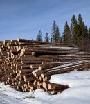 Sahatavara ja puusta valmistetut tuotteet ovat tärkeitä vientituotteita